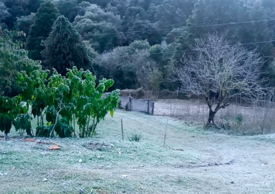 Temperatura foi inferior &agrave; registrada na quarta-feira, quando os term&ocirc;metros marcaram -0,8&deg;C. A cidade teve uma das menores m&iacute;nimas do Planalto Norte.