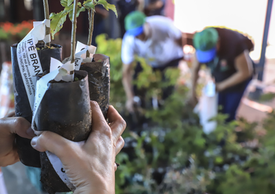 Atividades ser&atilde;o na Pra&ccedil;a do Contestado e ter&atilde;o orienta&ccedil;&otilde;es sobre preserva&ccedil;&atilde;o ambiental e descarte correto de res&iacute;duos.