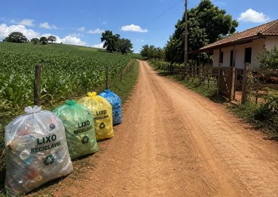 Coleta acontecer&aacute; uma vez ao m&ecirc;s em tr&ecirc;s trajetos diferentes