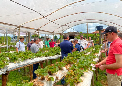 Capacita&ccedil;&atilde;o "Acolhida no Meio Rural" ser&aacute; realizada nos dias 23 e 24 de julho e abordar&aacute; formas de receber visitantes e fortalecer o setor.