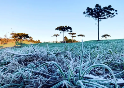 Frio intenso deve persistir at&eacute; quinta-feira. Nova frente fria volta a provocar chuva em Santa Catarina a partir de sexta.