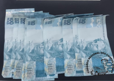 Suspeita foi identificada por c&acirc;meras de seguran&ccedil;a ap&oacute;s retirar R$ 1.100 de uma carteira perdida e foi localizada na zona rural.
