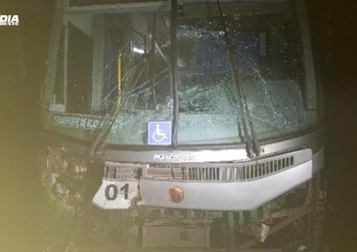 Animais morreram no local ap&oacute;s atravessarem a rodovia. Ningu&eacute;m ficou ferido e propriet&aacute;rios foram identificados.