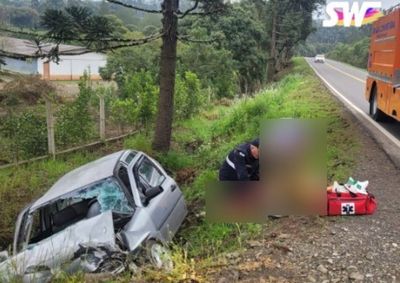 Carro saiu da pista e bateu contra a entrada de uma propriedade no km 400, na regi&atilde;o de Dorizon.
