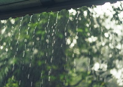 Regi&otilde;es Oeste e Sudoeste, al&eacute;m da bacia do Rio Igua&ccedil;u, aparecem com maior diferen&ccedil;a em rela&ccedil;&atilde;o ao padr&atilde;o hist&oacute;rico, segundo o Simepar.