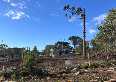 Segundo o Simepar, a extens&atilde;o do tornado n&atilde;o provocou danos no munic&iacute;pio e, por isso, n&atilde;o recebeu classifica&ccedil;&atilde;o.