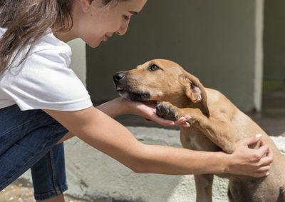 Evento do Paran&aacute; em A&ccedil;&atilde;o, em Uni&atilde;o da Vit&oacute;ria, re&uacute;ne c&atilde;es &agrave; espera de um novo lar das 10h &agrave;s 13h, deste s&aacute;bado (18).