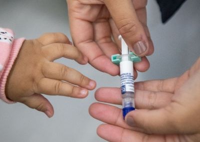 Vacina j&aacute; est&aacute; dispon&iacute;vel em todas as Unidades B&aacute;sicas de Sa&uacute;de do munic&iacute;pio.
