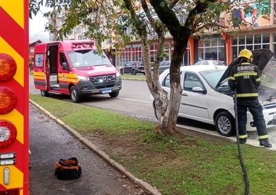 Princ&iacute;pio de inc&ecirc;ndio ocorreu na tarde desta quarta-feira (12), no bairro Santa Rosa, em Porto Uni&atilde;o.