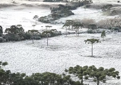 Massa de ar frio derruba as temperaturas em Santa Catarina e traz possibilidade de geada ampla nos pr&oacute;ximos dias.