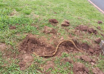 Cabos subterr&acirc;neos foram retirados nas proximidades da Pra&ccedil;a do Professor. Urbanismo avalia uma nova forma de instalar a rede.