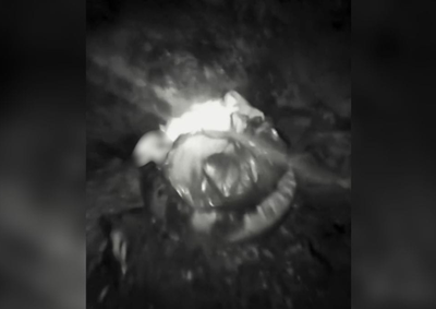 PM identificou suspeitos ap&oacute;s grava&ccedil;&atilde;o gerar revolta nas redes. Caso foi encaminhado &agrave; Pol&iacute;cia Civil.