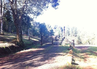 Evento ser&aacute; realizado no dia 11 de outubro, com sa&iacute;da do Parque Hist&oacute;rico Iguassu e percurso entre &aacute;reas de mata, propriedades rurais e ervais