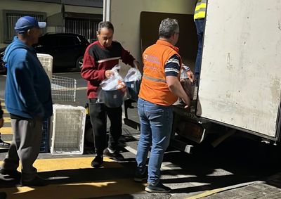 Defesa Civil de SC enviou 145 cestas b&aacute;sicas e 621 kits de higiene e limpeza para atendimento &agrave;s fam&iacute;lias cadastradas.