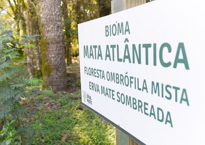 Reconhecimento protege a identidade do produto, agrega valor &agrave; produ&ccedil;&atilde;o e fortalece a economia ligada ao territ&oacute;rio.