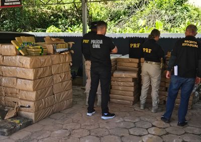 Apreens&atilde;o hist&oacute;rica de droga causou a pris&atilde;o de motorista durante opera&ccedil;&atilde;o na BR-280