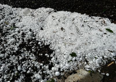 Seis munic&iacute;pios decretaram situa&ccedil;&atilde;o de emerg&ecirc;ncia; previs&atilde;o indica continuidade dos temporais e risco para o Planalto Norte.