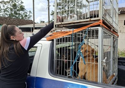 Defesa Animal far&aacute; cadastro e acolhimento de pets e animais de cria&ccedil;&atilde;o que precisarem ser retirados das &aacute;reas de risco.