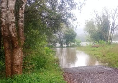 Simepar prev&ecirc; mais chuva ao longo do dia em Uni&atilde;o da Vit&oacute;ria
