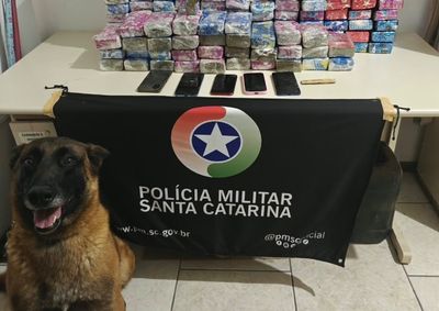 A&ccedil;&atilde;o conjunta envolveu pol&iacute;cias Militar de SC e PR e a PRF. Dois ve&iacute;culos foram abordados no cruzamento da SC-135 com a BR-280.