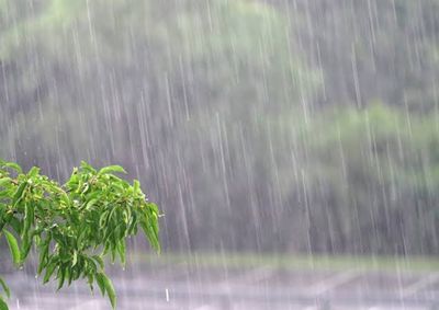 Chuva e solo encharcado preocupam a Defesa Civil, que tamb&eacute;m alerta para alagamentos, enxurradas e ventos fortes.