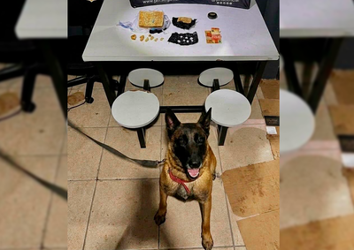 Opera&ccedil;&atilde;o tamb&eacute;m resultou na apreens&atilde;o de sete buchas de subst&acirc;ncia semelhante &agrave; coca&iacute;na. Motorista foi encaminhado &agrave; delegacia.