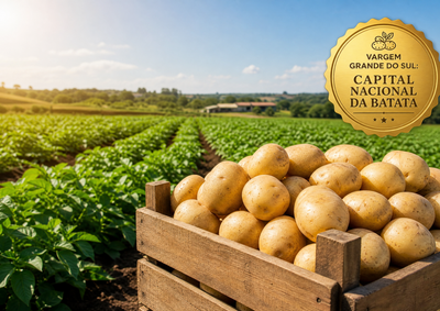 O deputado Federal Capit&atilde;o Augusto apresentou projeto para oficializar nossa terra como capital da batata, mas precisamos vencer uma disputa contra o Sul.
