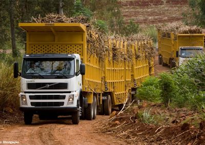 Diretor relata que foi analisada uma rota alternativa, mas necessita a finaliza&ccedil;&atilde;o da obra da estrada de Lagoa Branca para dar continuidade &agrave;s tratativas