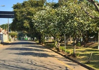 Popula&ccedil;&atilde;o poder&aacute; utilizar o espa&ccedil;o durante a passagem do desfile na Avenida Hermetti Piochi de Oliveira; estruturas dever&atilde;o ser desmontadas at&eacute; &agrave;s 18h