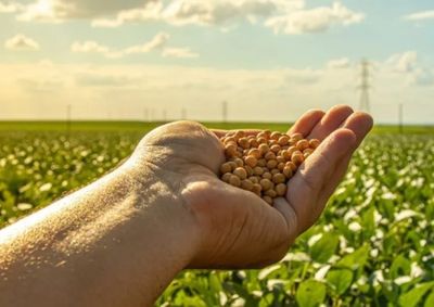 Cooperativa realizar&aacute; eventos para explicar regras, linhas de financiamento e oportunidades ao produtor rural