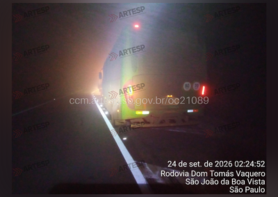 Animal atravessou a SP-344 durante a madrugada