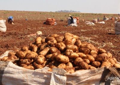 Segundo dados do Novo Caged, munic&iacute;pio registrou saldo de 1.076 novas vagas formais em julho, com 1.008 postos criados pela agropecu&aacute;ria