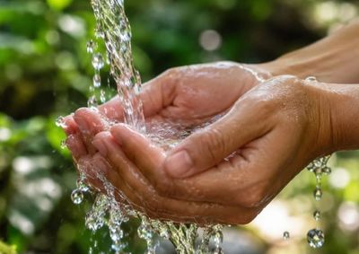 Projeto da Secretaria de Meio Ambiente oferece suporte para preserva&ccedil;&atilde;o h&iacute;drica e conserva&ccedil;&atilde;o do solo.