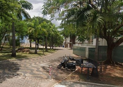 Vereador Paulinho cobra a prefeitura para que realize servi&ccedil;os de poda de &aacute;rvores, manuten&ccedil;&atilde;o de jardins e melhorias nos espa&ccedil;os p&uacute;blicos