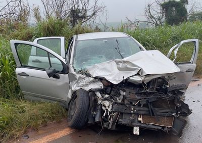 Bombeiros socorrem motorista ap&oacute;s colis&atilde;o na rodovia entre Palmeiras e Pirassununga