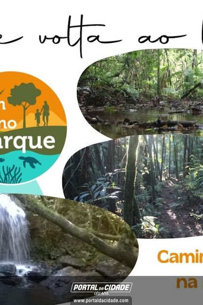 Domingo no Parque