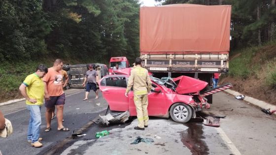 Motorista embriagado que causar morte poderá perder o veículo