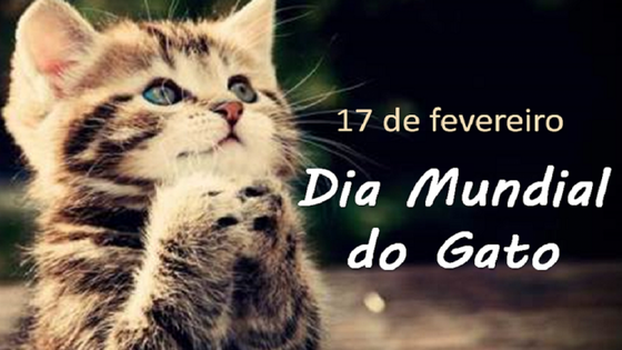 17 de fevereiro - Dia Mundial do Gato