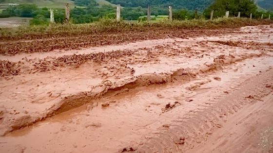 Chuvas Obrigam Mais De 8,6 Mil A Deixarem Suas Casas Em Todo O País