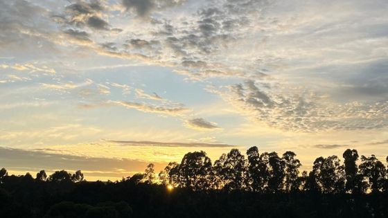 Semana Pode Ser De Pancadas De Chuva Em Par De Minas Aponta Meteorologia