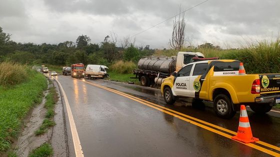 Acidente envolvendo caminhonete mata cavalo na BR-272, em Goioerê -  Umuarama News