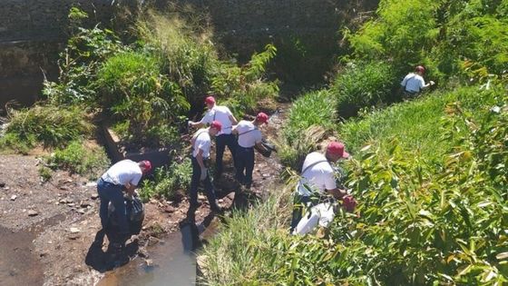 Sesc PR realiza programação em alusão ao Dia Mundial de Limpeza de