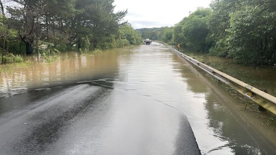 Tráfego de veículos no trecho interditado da BR-280 não tem prazo para ser  liberado