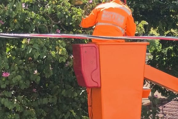 Maritaca &eacute; resgatada ap&oacute;s ficar presa em fios com cerol a 12 metros de altura