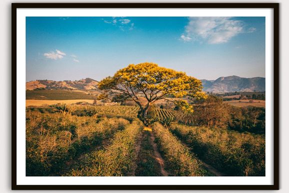 Andradas ganha destaque em exposi&ccedil;&atilde;o fotogr&aacute;fica sobre cidades mineiras