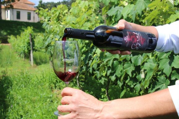 Projeto busca Denomina&ccedil;&atilde;o de Origem para os Vinhos de Inverno do Sul de Minas