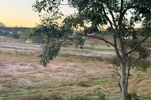 Previs&atilde;o se confirma e geada cobre a zona rural de Andradas