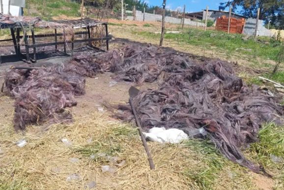 Pol&iacute;cia apreende fios e cabos em terreno de Atibaia