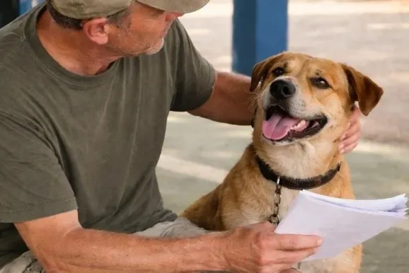 Atibaia abre inscri&ccedil;&otilde;es para castra&ccedil;&atilde;o gratuita de c&atilde;es e gatos