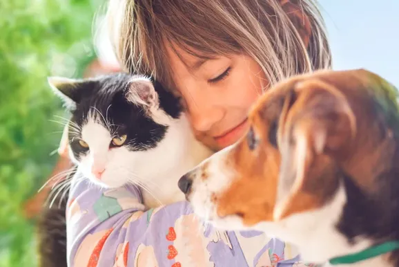 C&atilde;es e gatos estar&atilde;o para ado&ccedil;&atilde;o na pr&oacute;xima quarta-feira em Atibaia